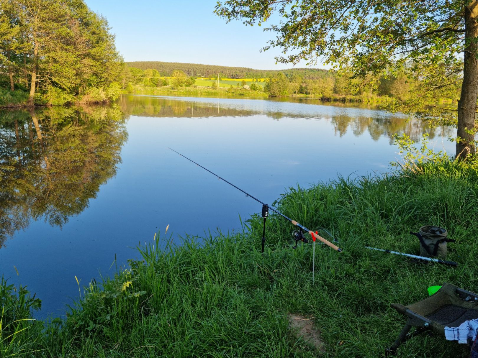 Baggersee Au (FV Weiden) angeln
