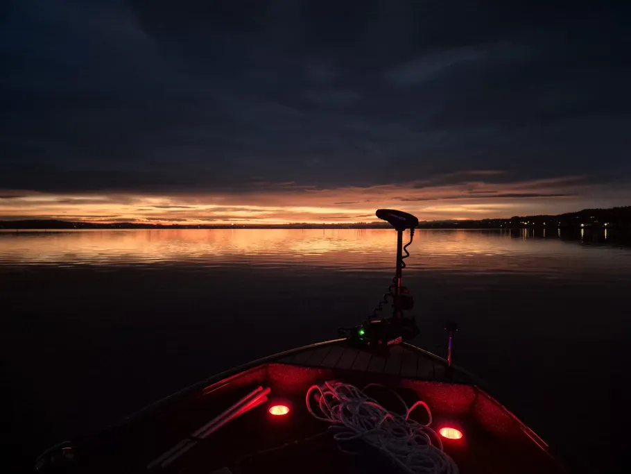 Bodensee (Zeller See/Untersee) angeln