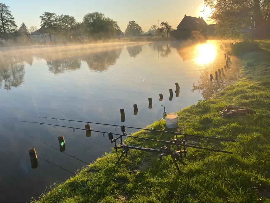 Dorfteich Borna angeln