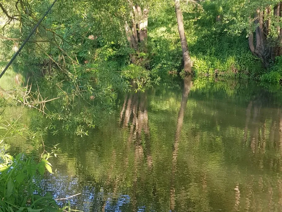 Vils (Schmidmühlen) angeln