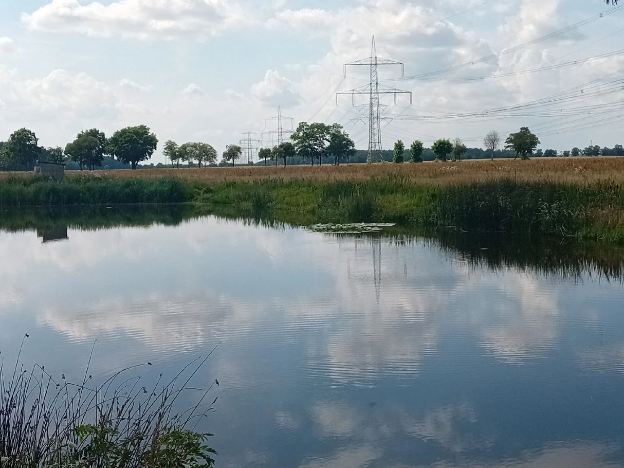 Werftgraben (Schönewalde) angeln