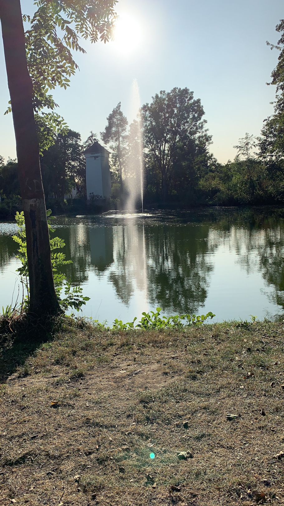 Großer Teich (Rosbach vor der Höhe) angeln