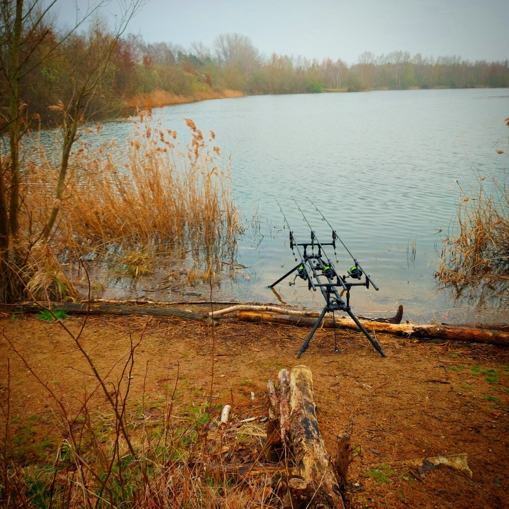 Röhrser Teich angeln