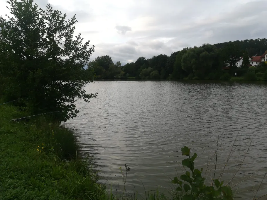 Freizeitsee Münchsteinach angeln