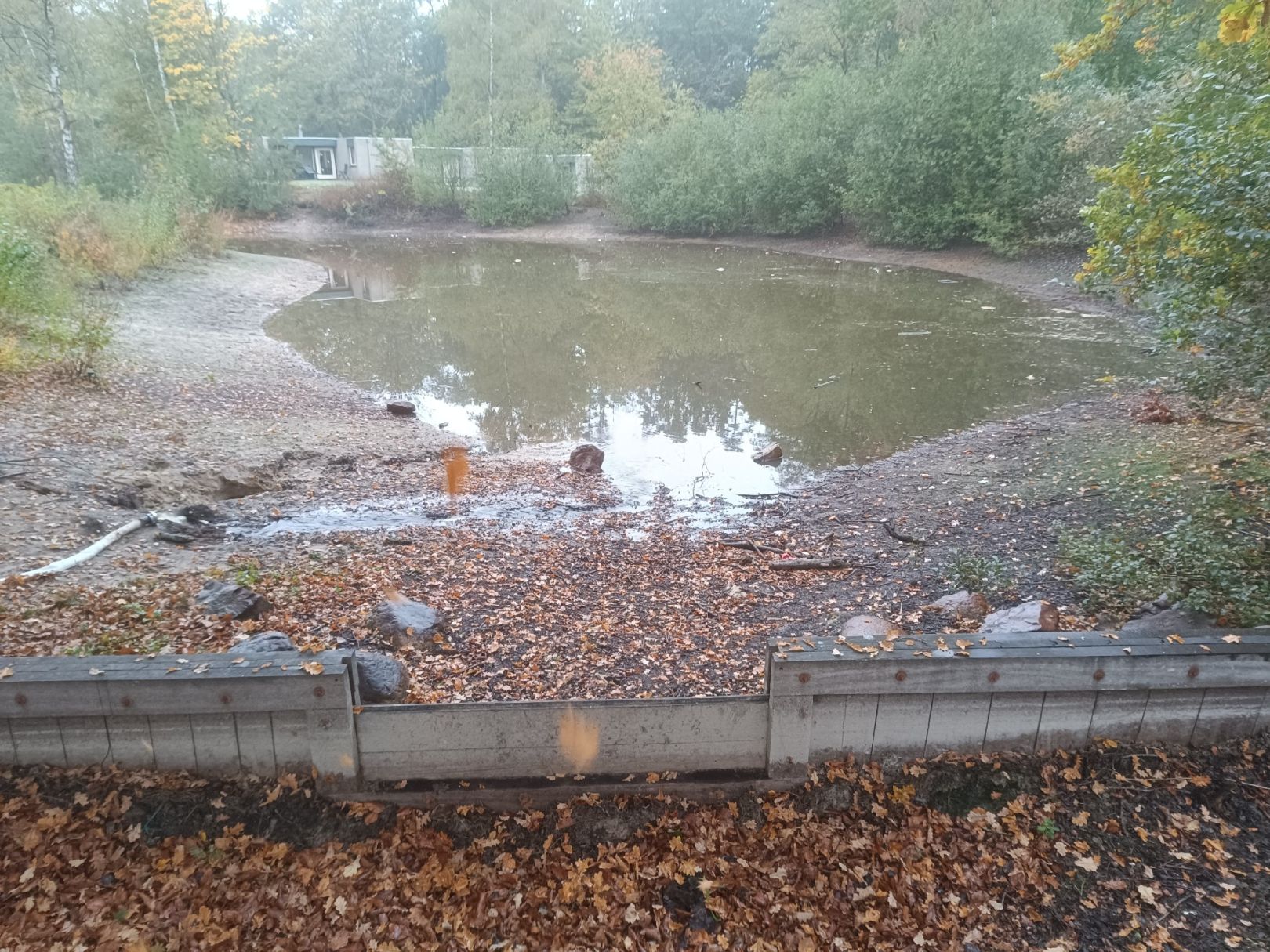 Het Vennenbos angeln