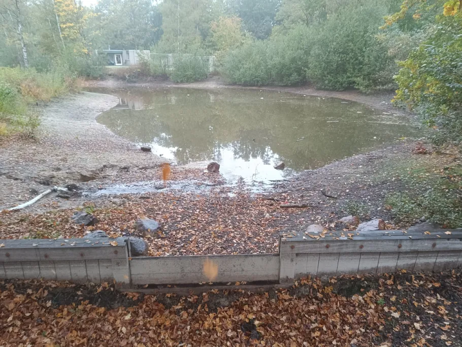 Het Vennenbos angeln