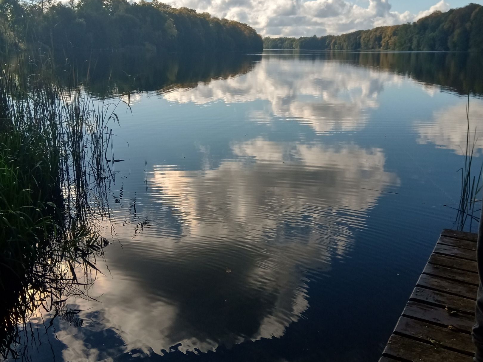 Angeln in Mühlen Eichsen