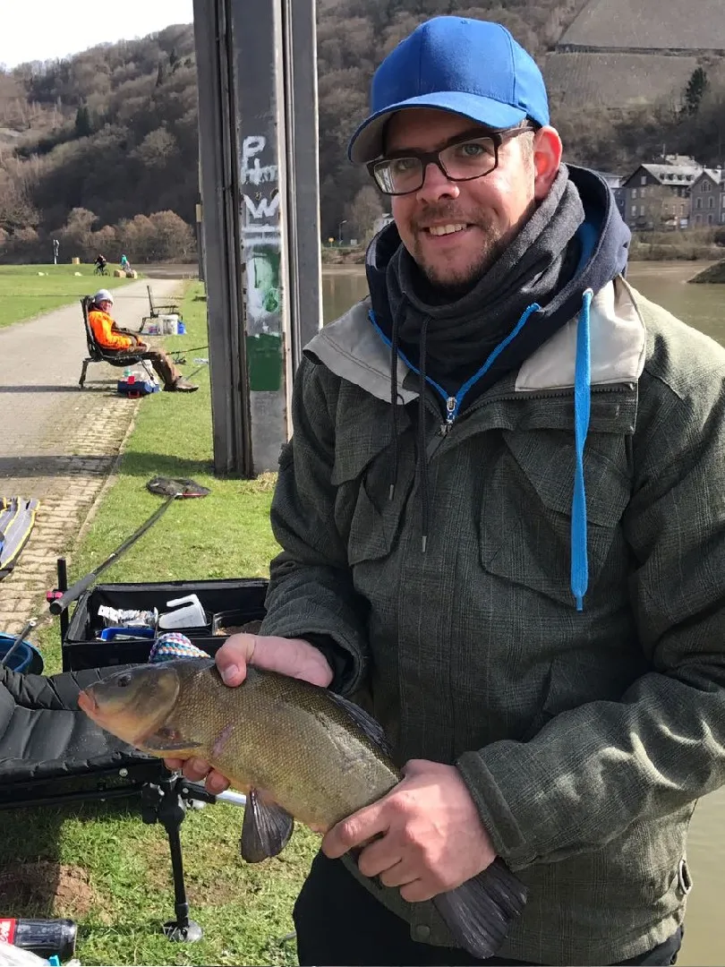 Mosel (Bernkastel-Kues) angeln