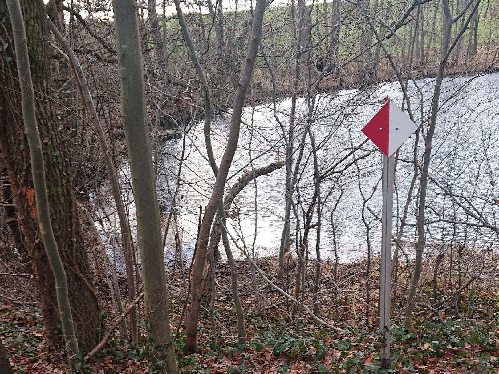 Teich Leisenau angeln