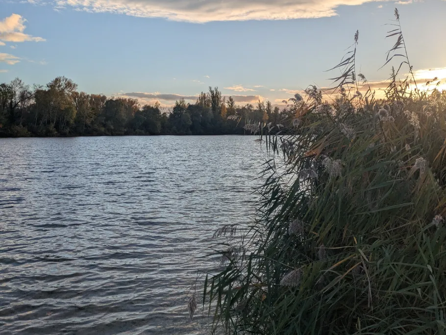 Jägerweiher (Altrip) angeln