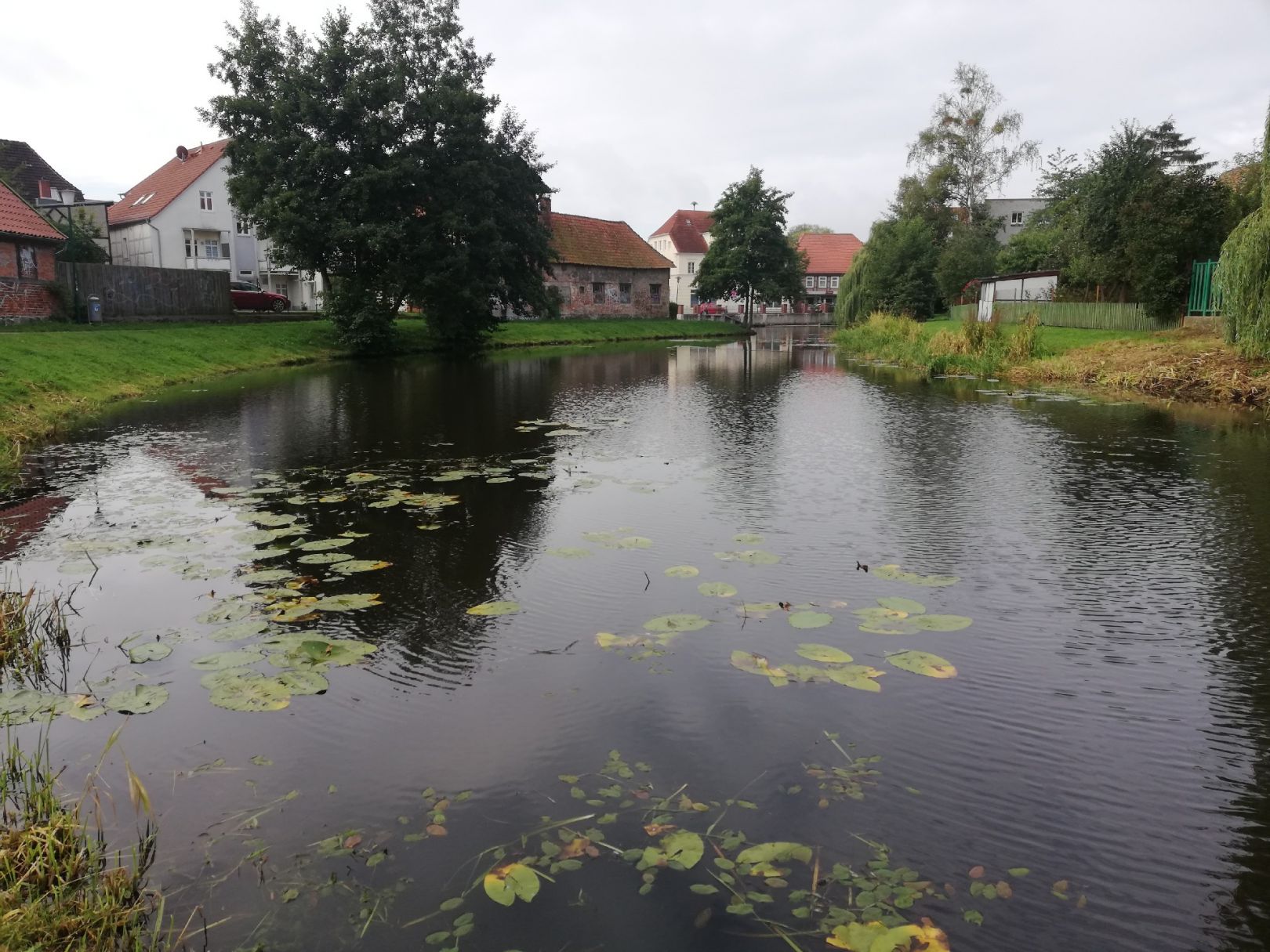 Mühlenteich (Hagenow) angeln