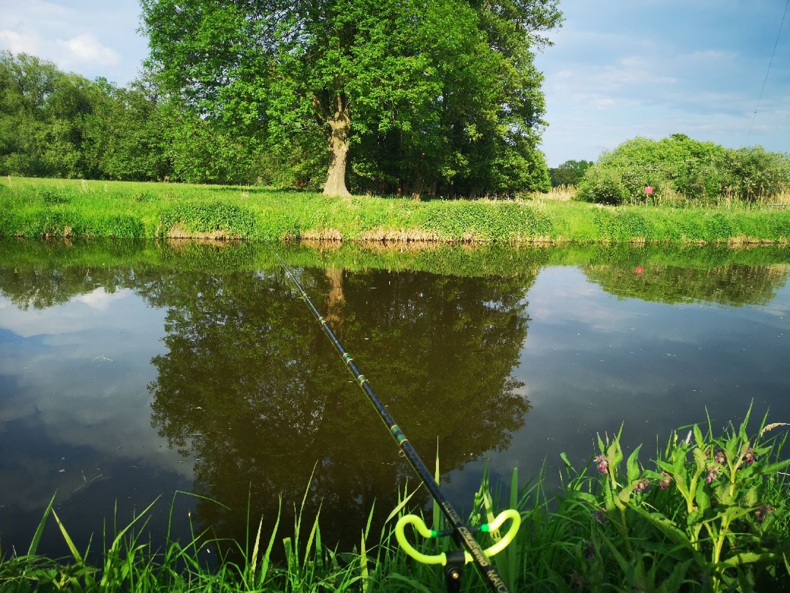 Vechte (Brandlecht) angeln