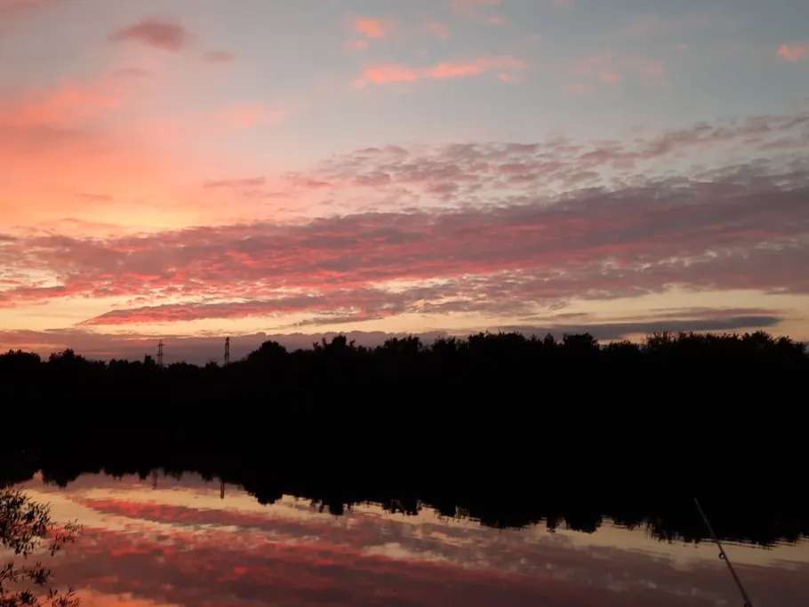 Südteich Groß Gleidingen angeln