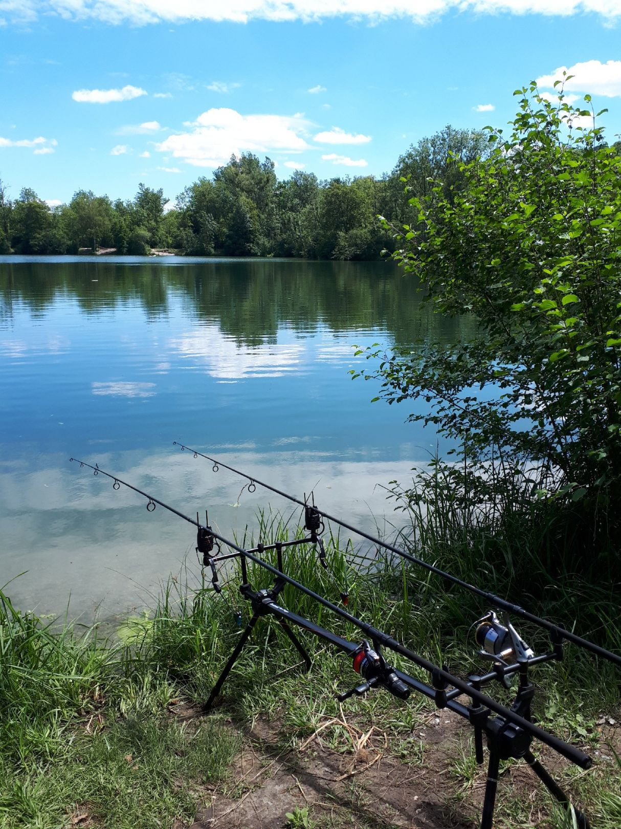 Markus-Rüb-Weiher angeln