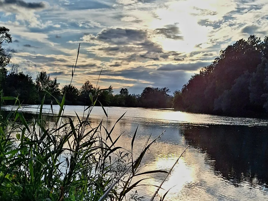 Saale (Schkopau) angeln