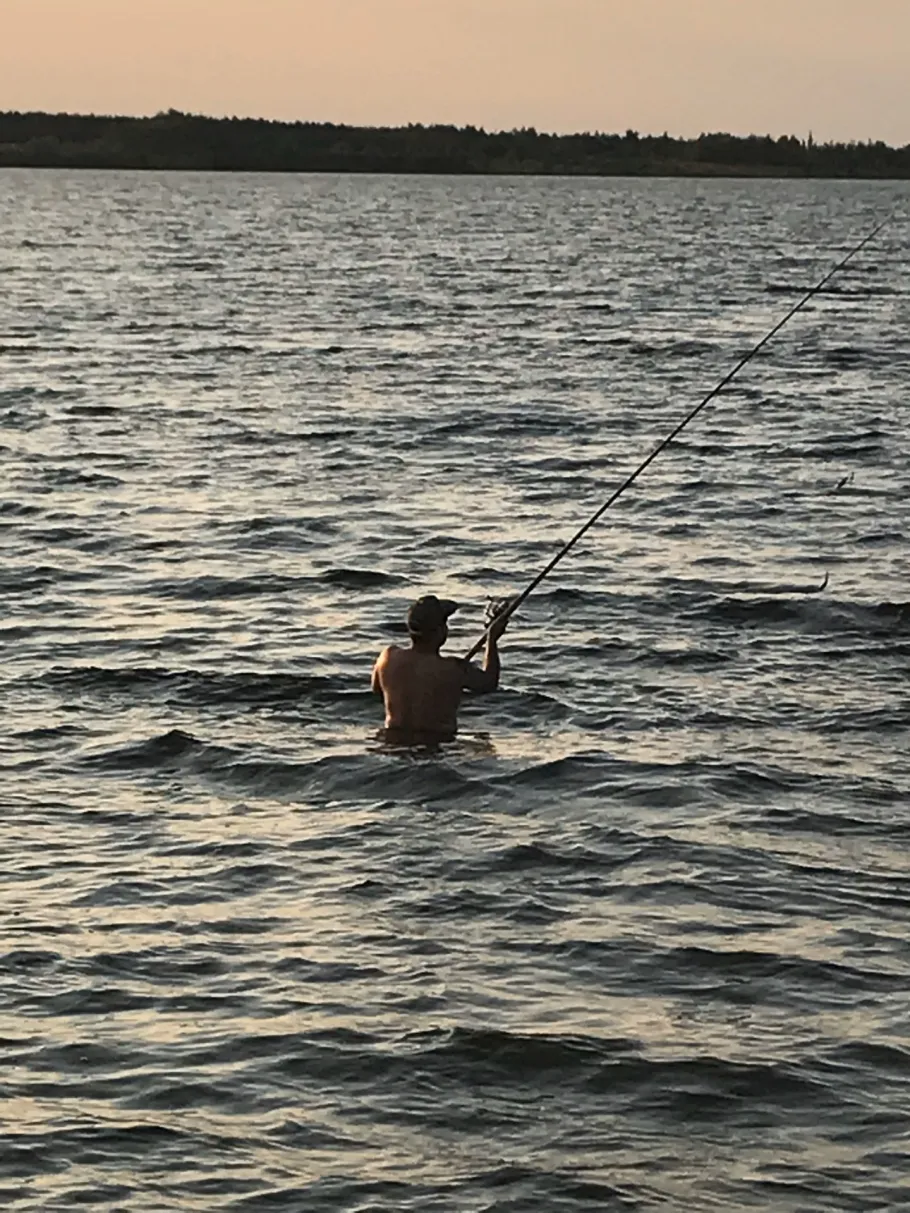 Großer Goitzschesee angeln