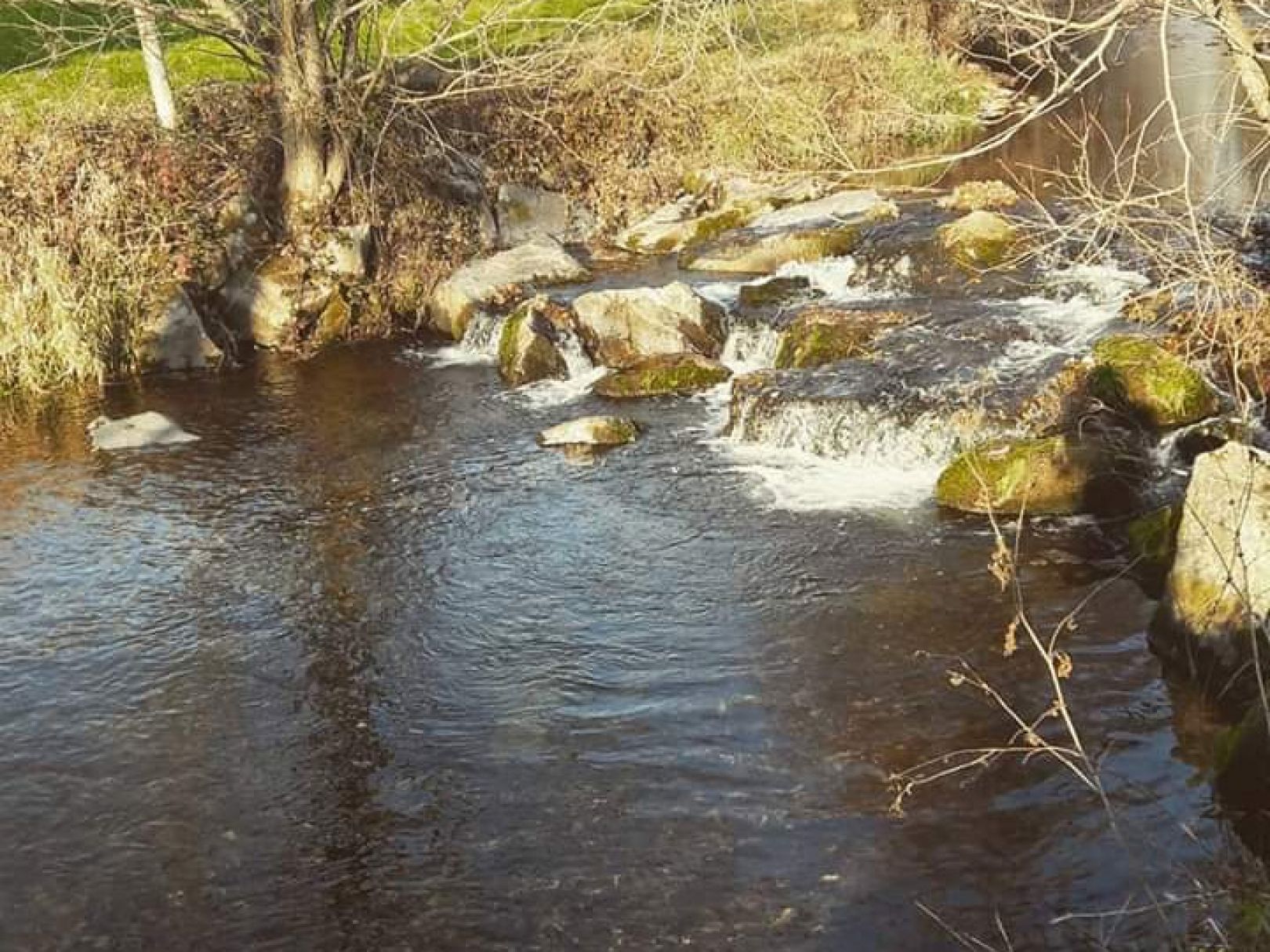 Angeln in Winden im Elztal