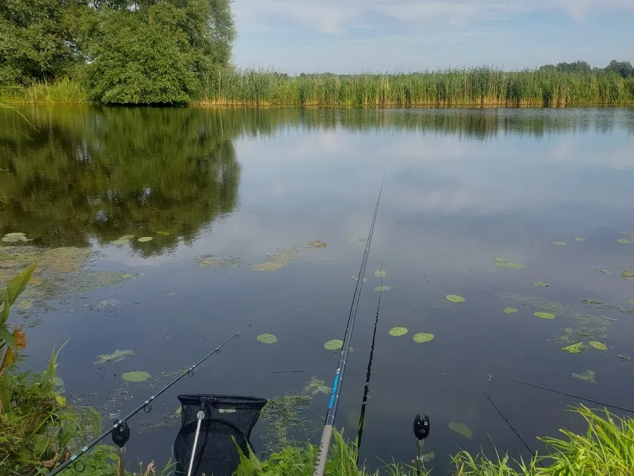 Gieselau (Osterrade) angeln