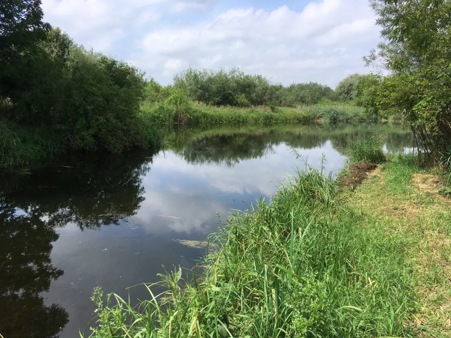 Schöpfteich Wulferstedt angeln