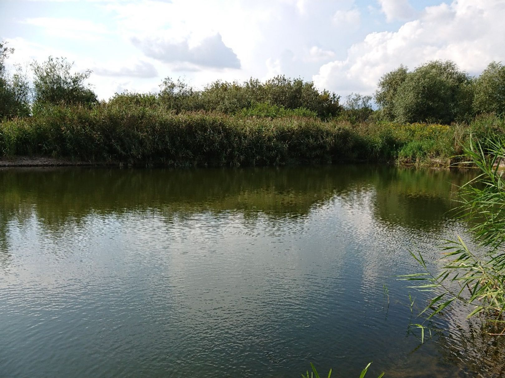 Schöpfteich Wulferstedt angeln