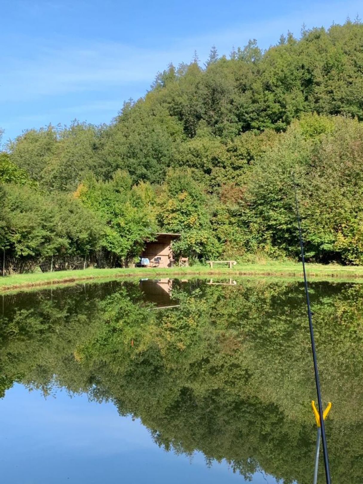 Privatteich bei Wildeshausen angeln