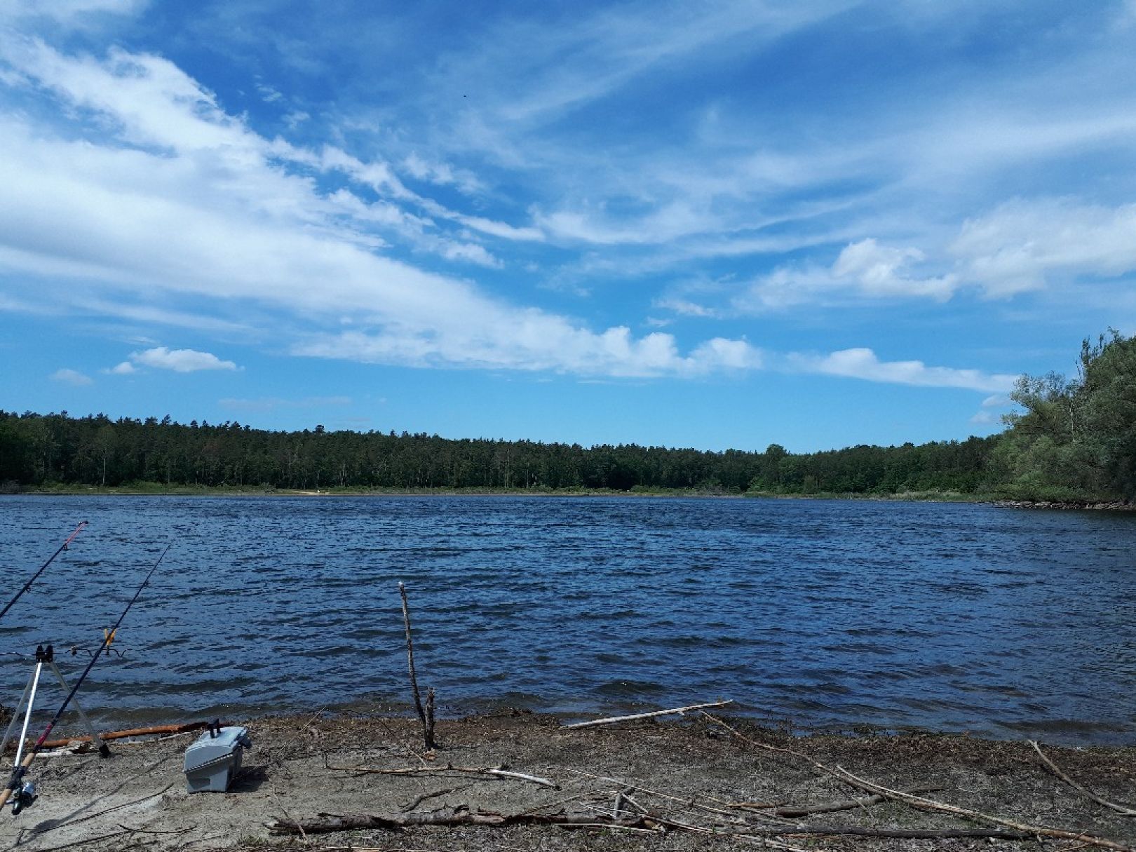 Roter See (Leuna-Siedlung) angeln