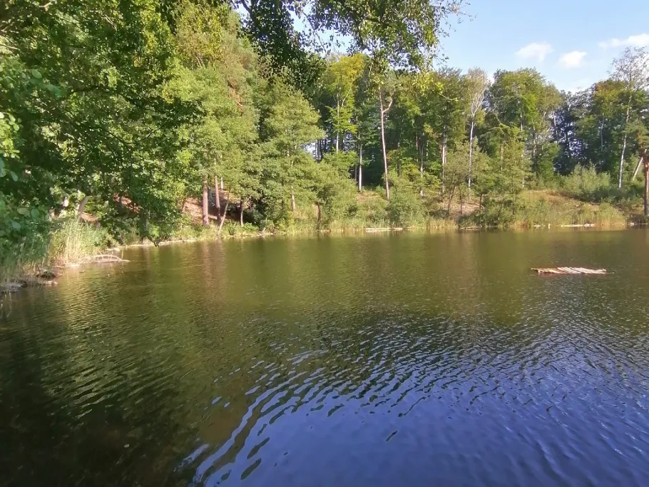 Bachsee (Chorin) angeln