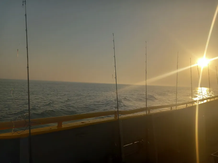 Nordsee (Ostende) angeln