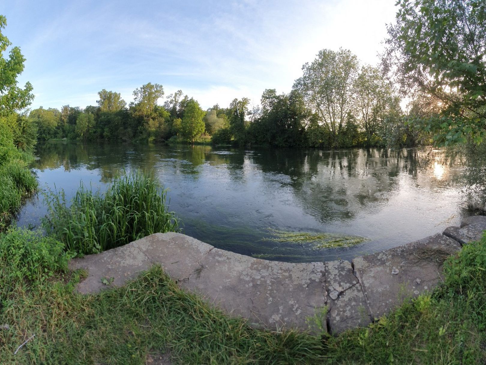 Canal de la Marne au Rhin (Strasbourg) angeln