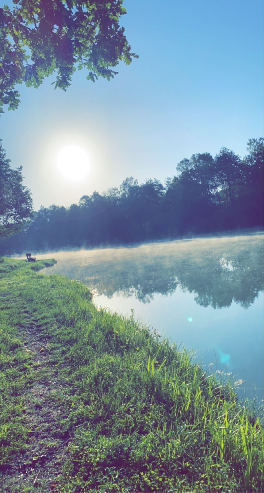 Tongrube Hintermeilingen angeln