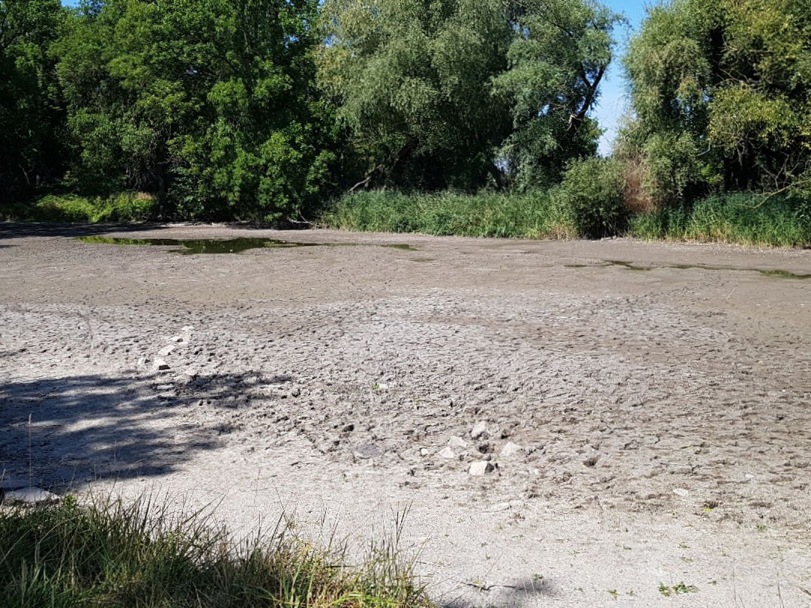 Teich Werdershausen angeln