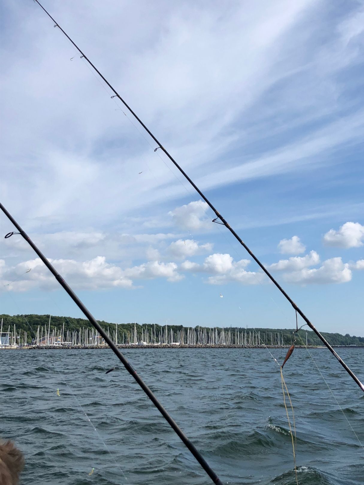 Ostsee (Schilksee) angeln