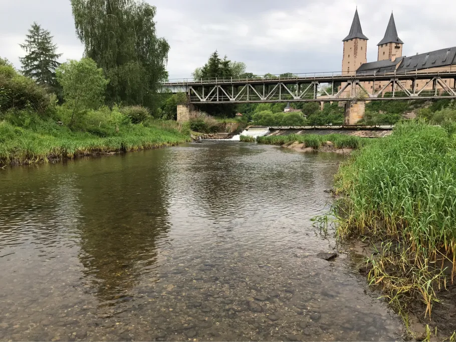 Zwickauer Mulde (Rochlitz) angeln