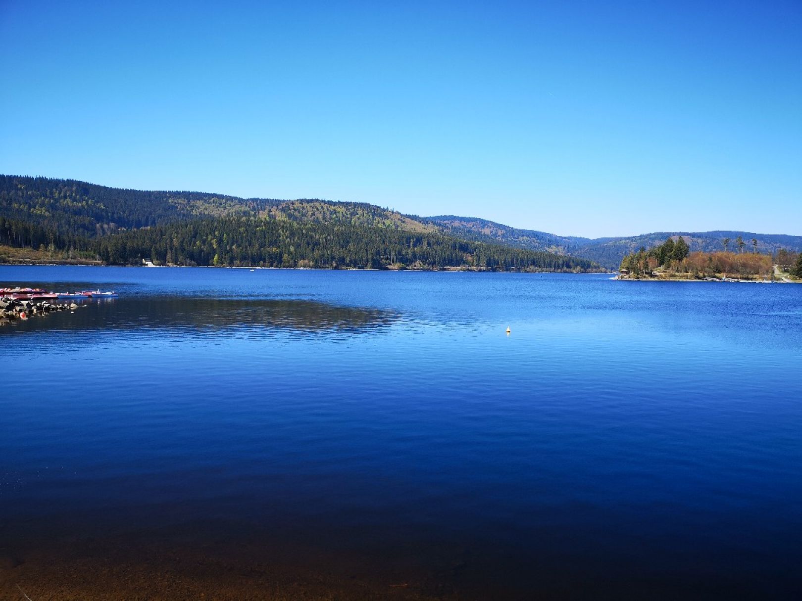 Schluchsee angeln