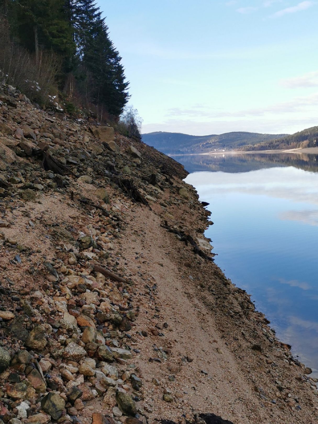 Schluchsee angeln