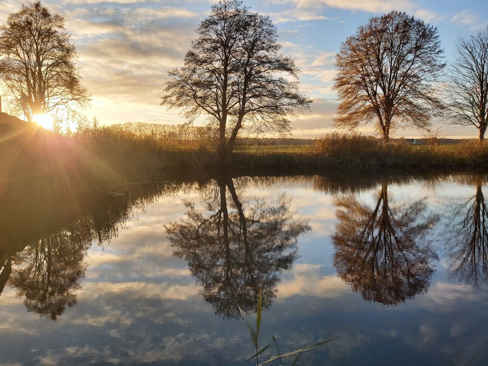 Krainke (Neuhaus/Elbe) angeln