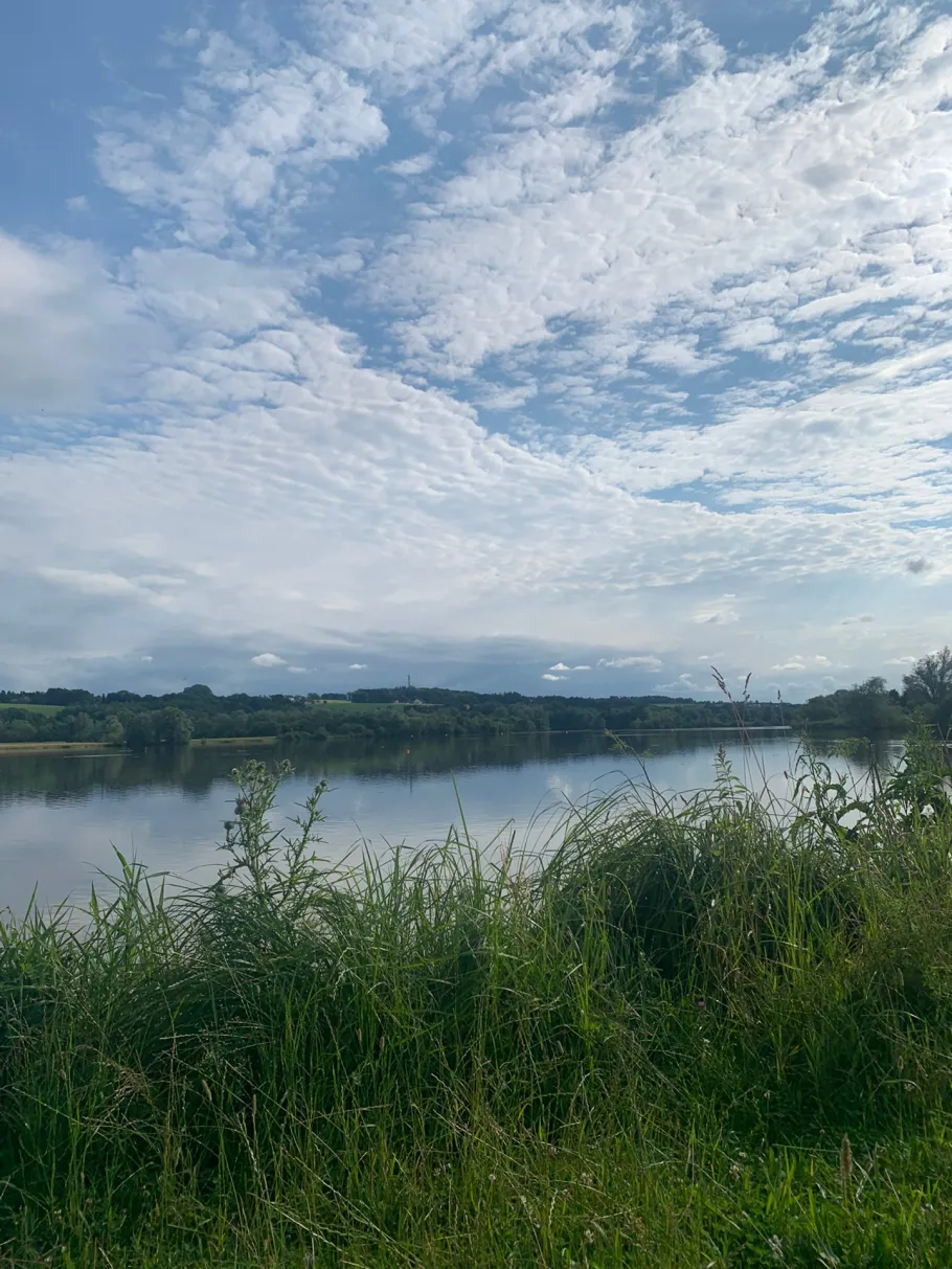 Rottauensee (Stausee Postmünster) angeln