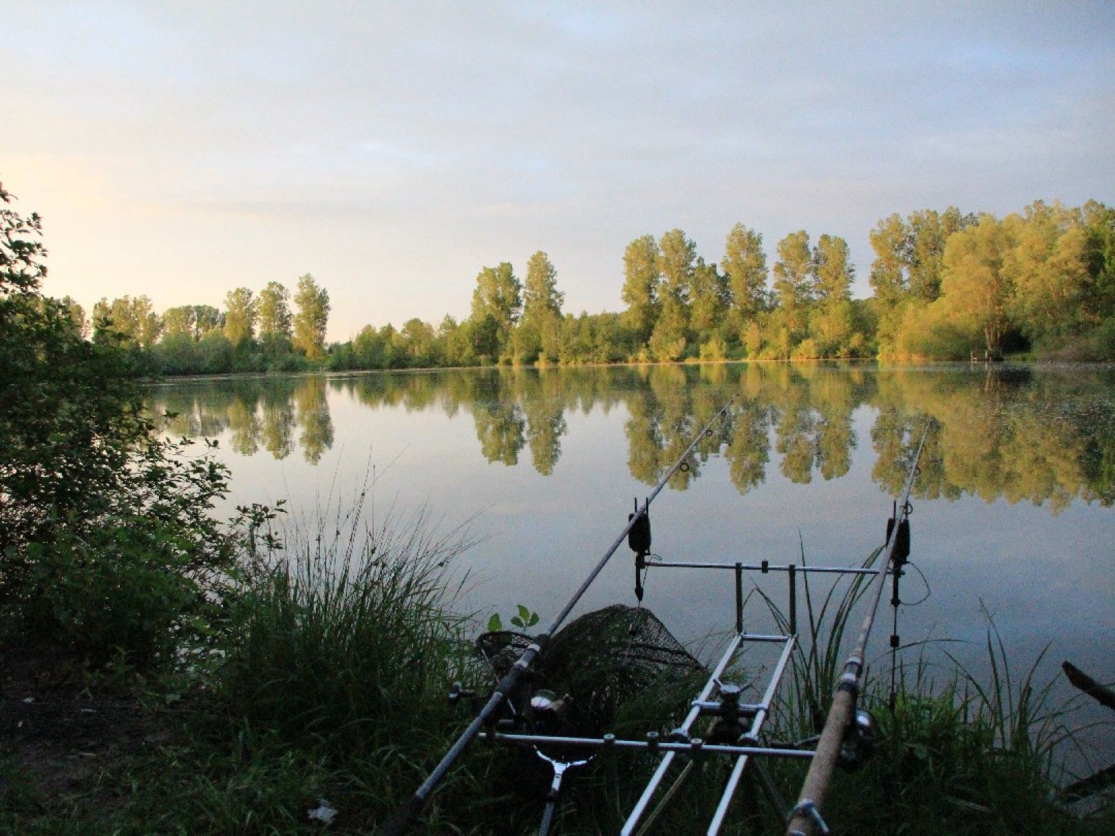 Riedsee (Burtenbach) angeln