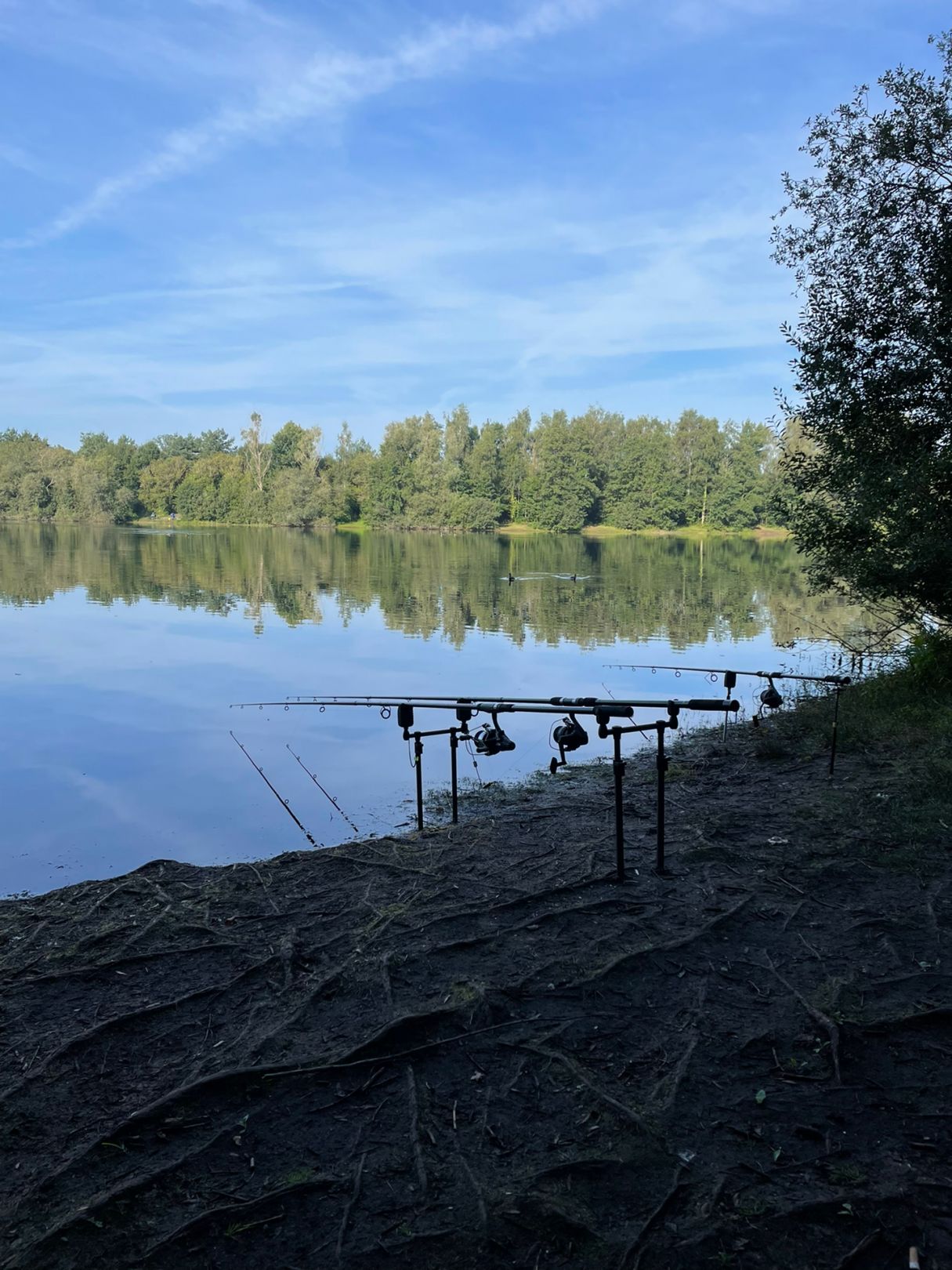 Brandlechter See (Nordhorn) angeln