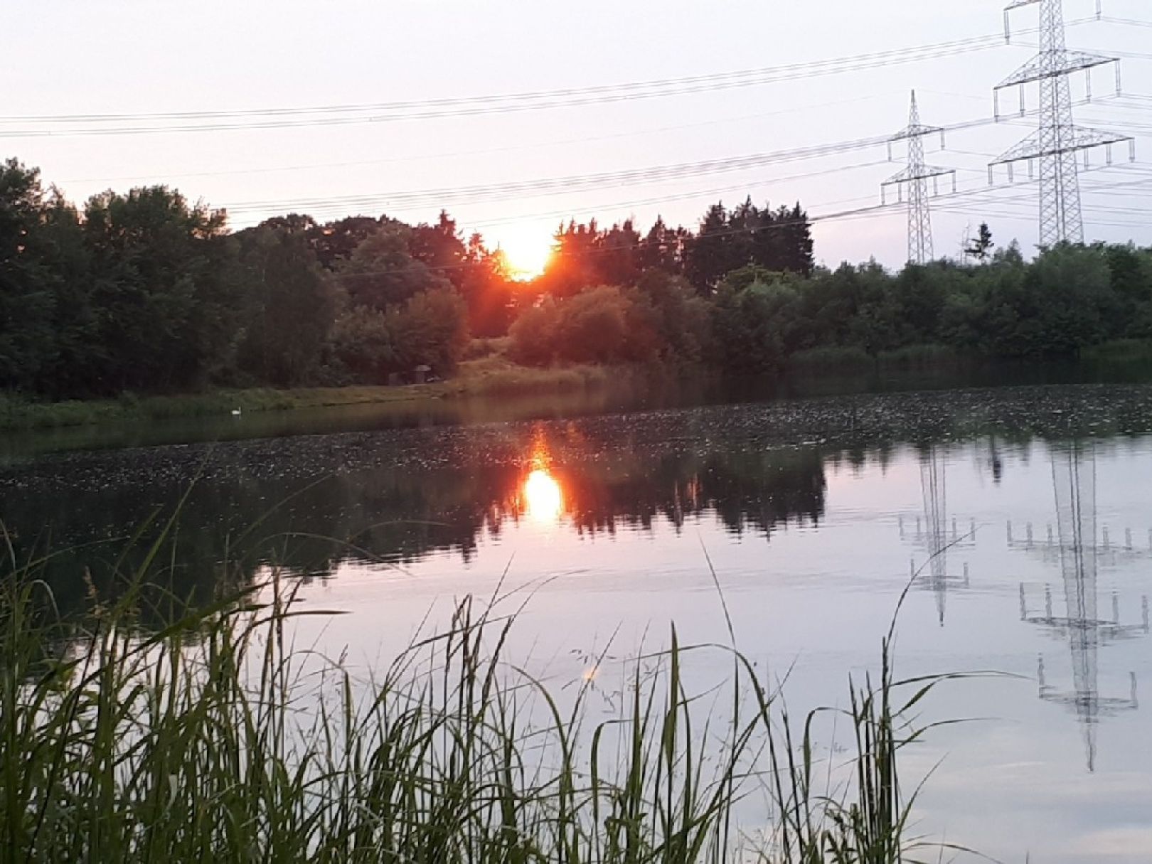 Baggersee Rohleder angeln