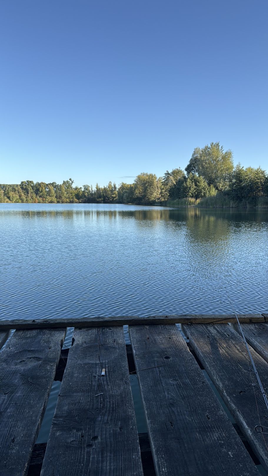 Baggersee (Holzheim) angeln