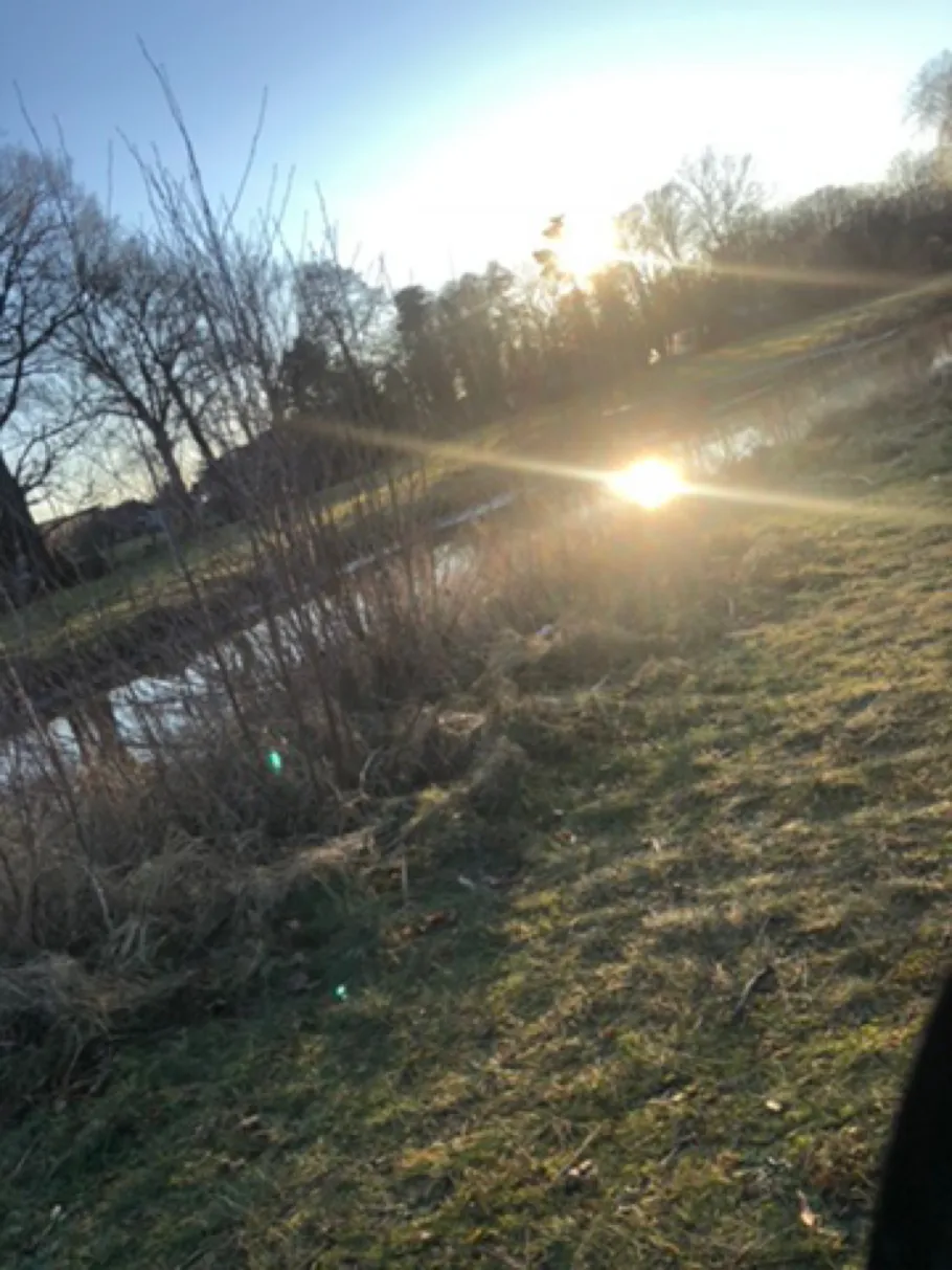 Kleine Elster (Maasdorf) angeln