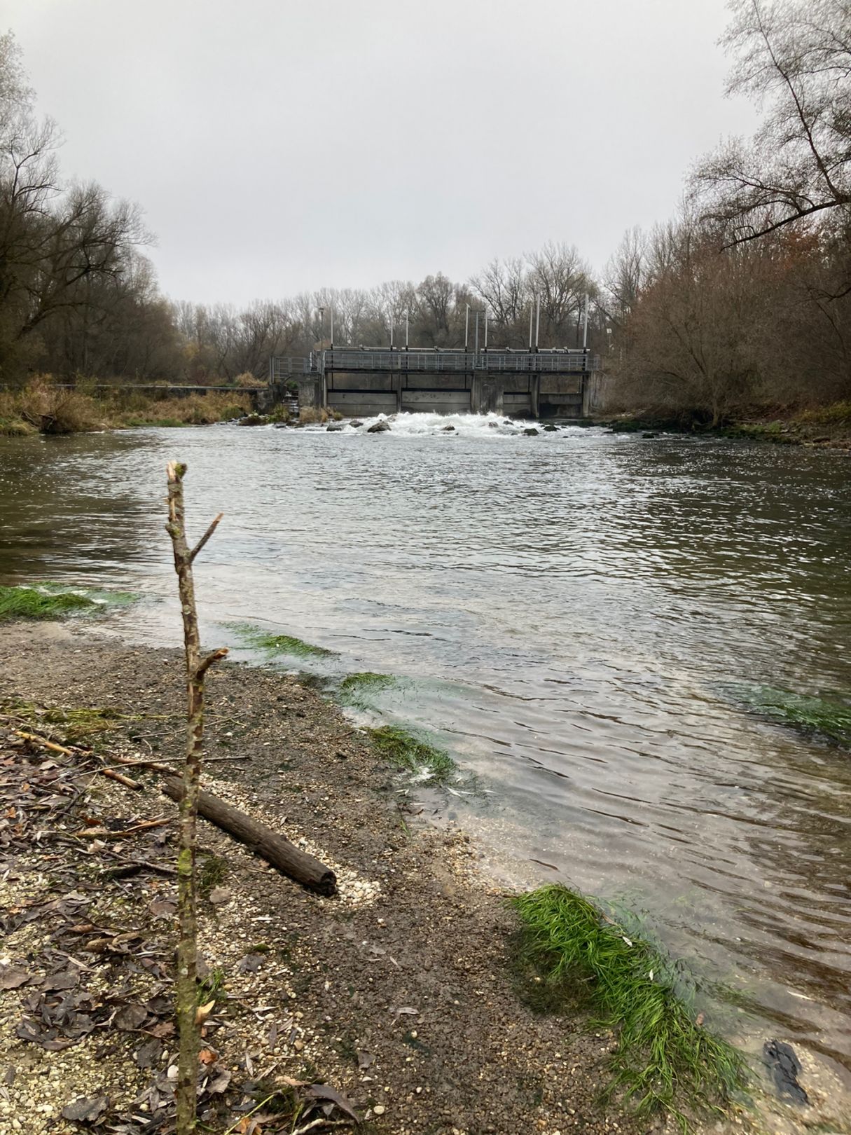 Angeln in Wolfersdorf