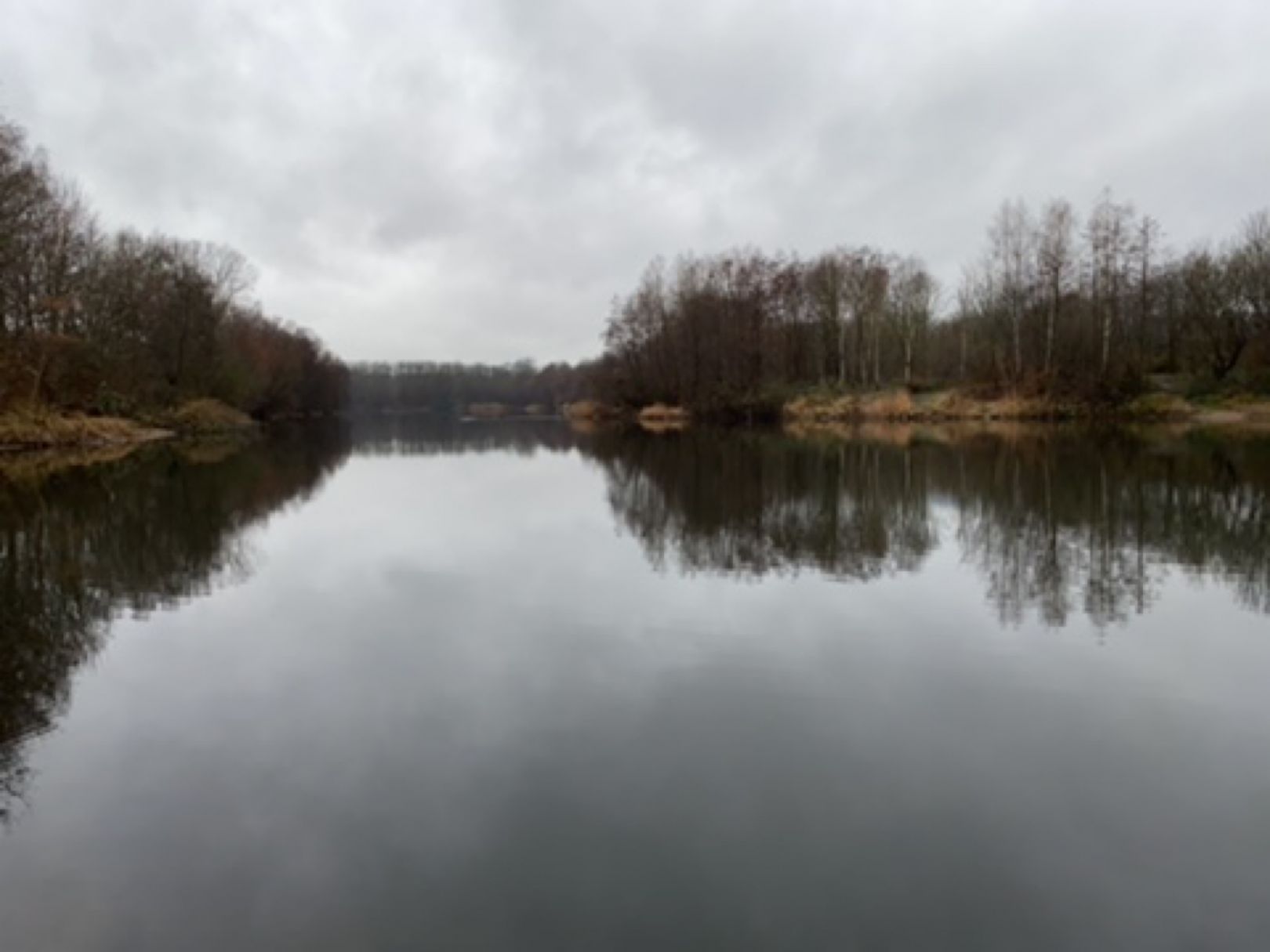 Waldsee (Hackenbroich) angeln