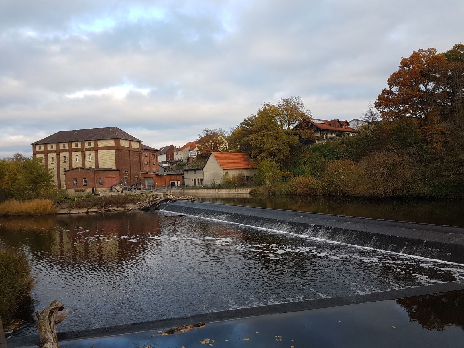 Werra (Heringen) angeln