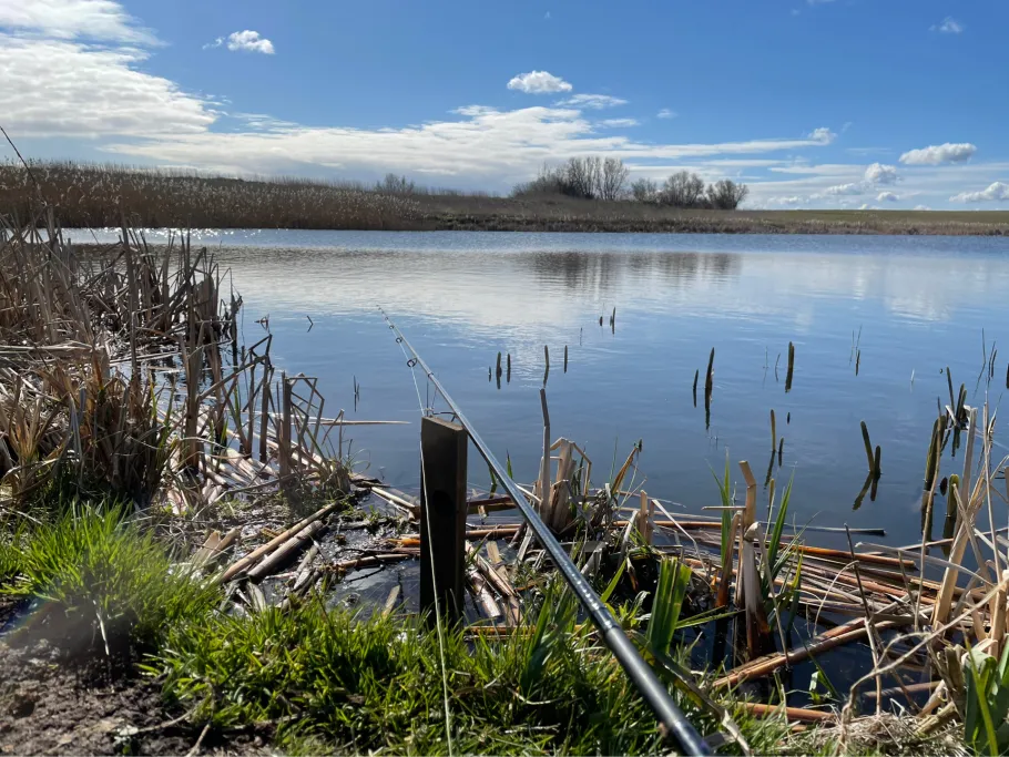 Torfstich (Schlafmann) angeln