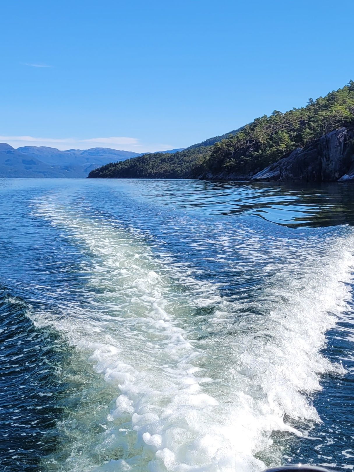 Nedstrandsfjorden angeln