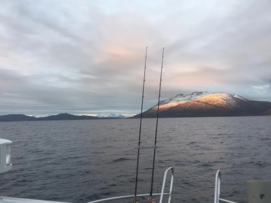 Medby (Senja) angeln