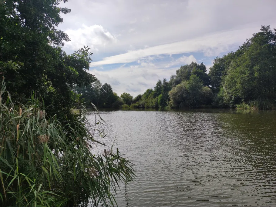 Kuhle am Wasserturm (Hagenow) angeln