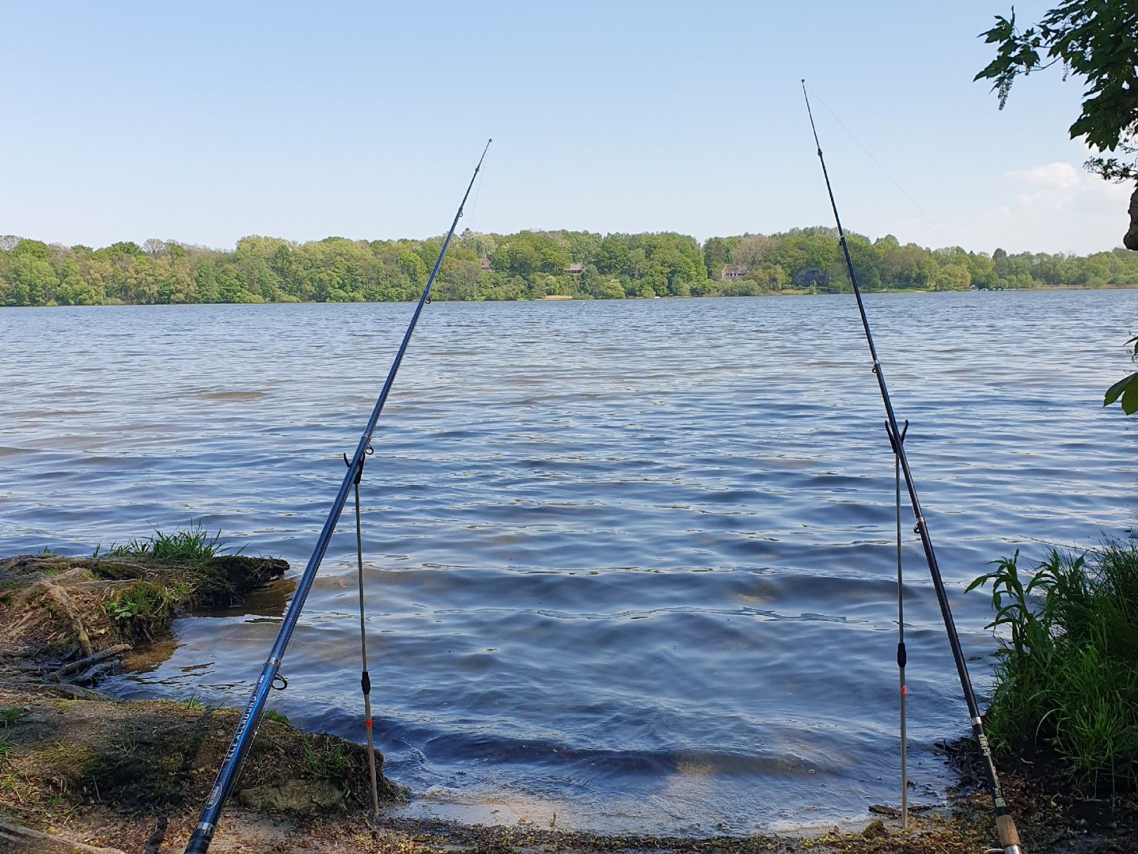 Mözener See angeln